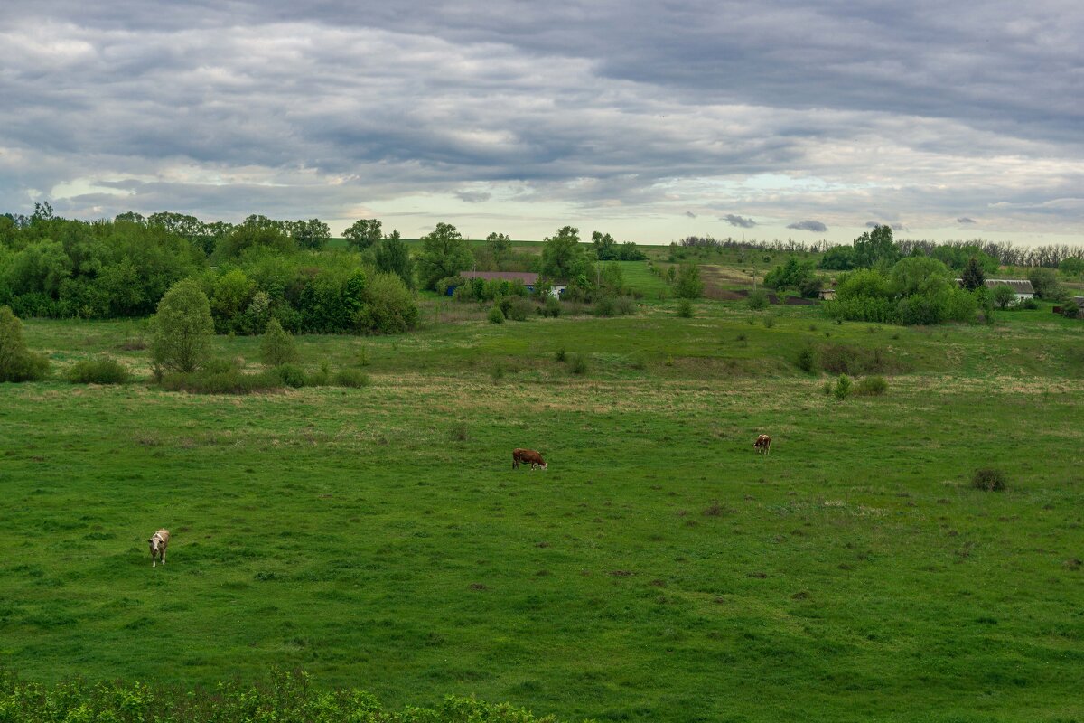 Сельский пейзаж - Дмитрий Ряховский Сельский пейзаж - Дмитрий Ряховский