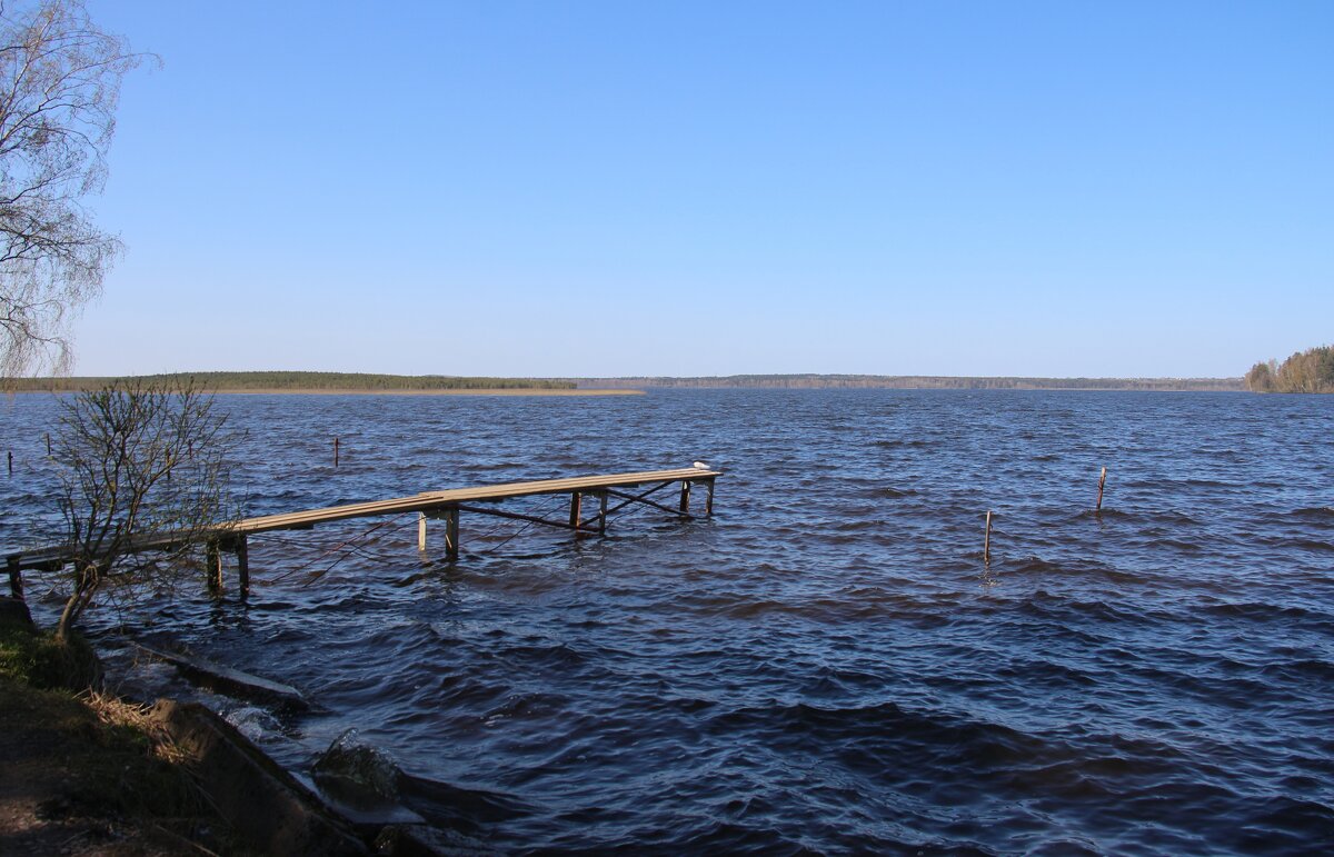 Токсово - Наталья Герасимова