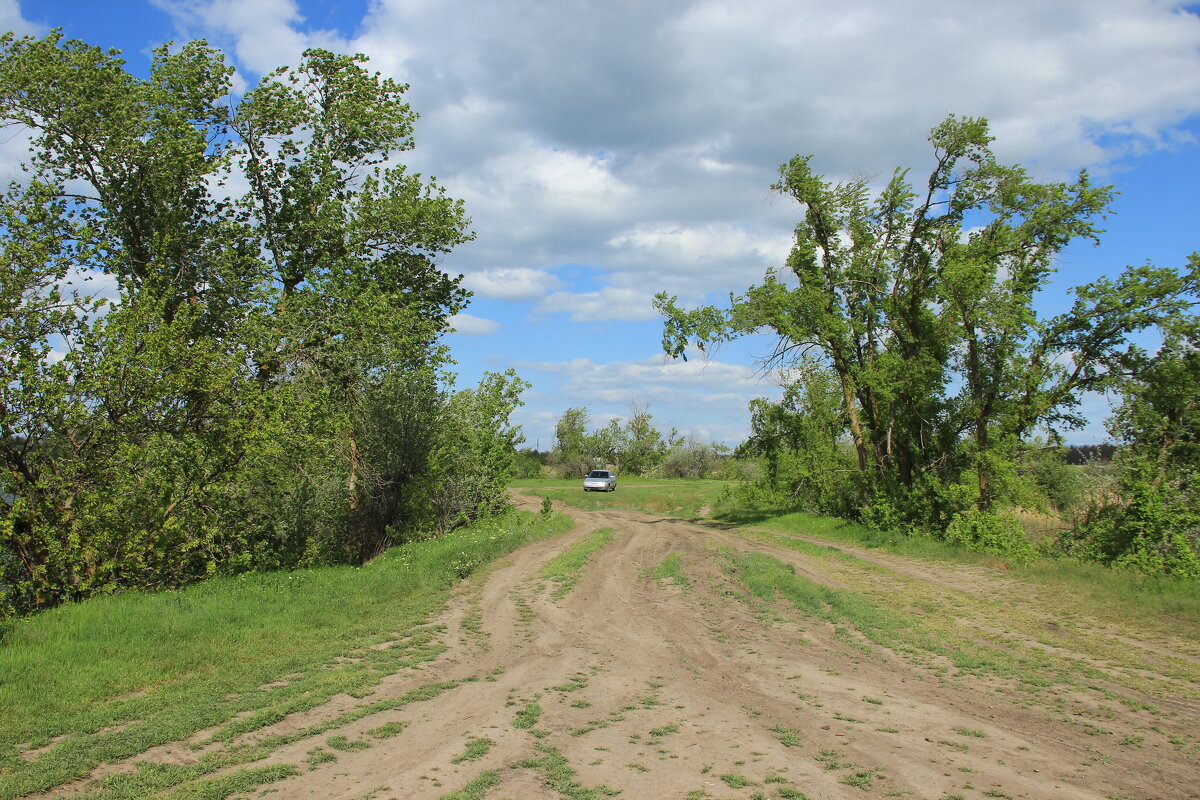 Мои дороги. - Виктор 