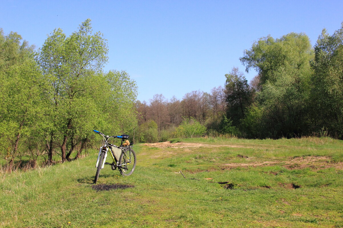 Кручу, кручу педали кручу.. ) - Евгений Корьевщиков Кручу, кручу педали кручу.. ) - Евгений Корьевщиков