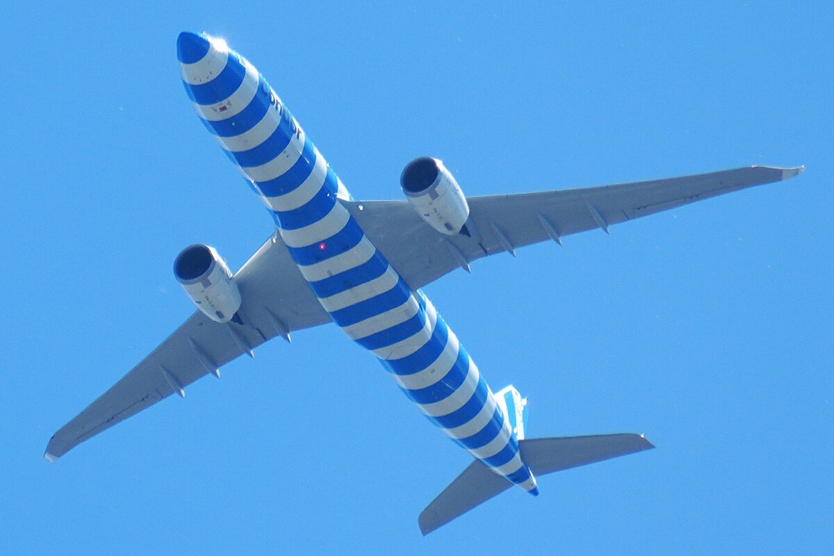 Синий полосатик - Павел Fotoflash911 Никулочкин