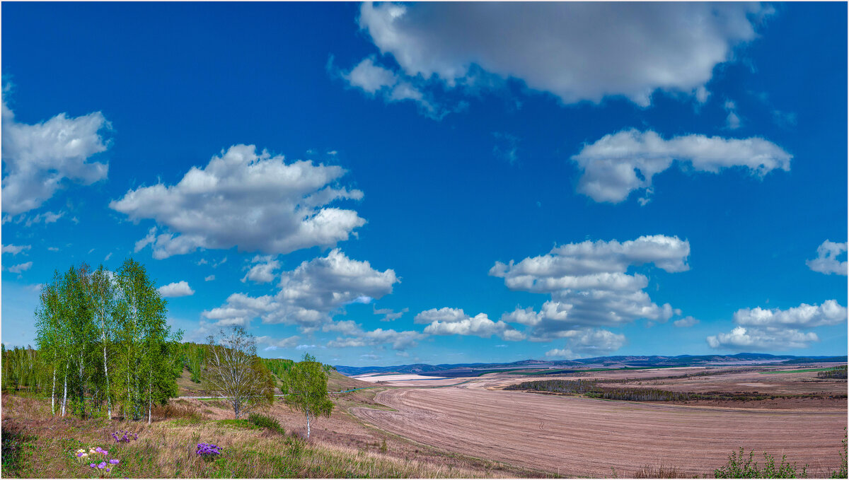 Весенняя панорама... - Алексей Мезенцев Весенняя панорама... - Алексей Мезенцев