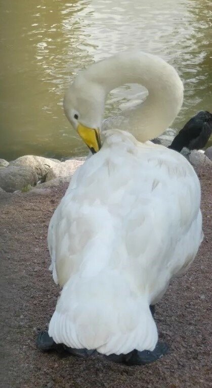 Вот такая загогулина - Надежда 