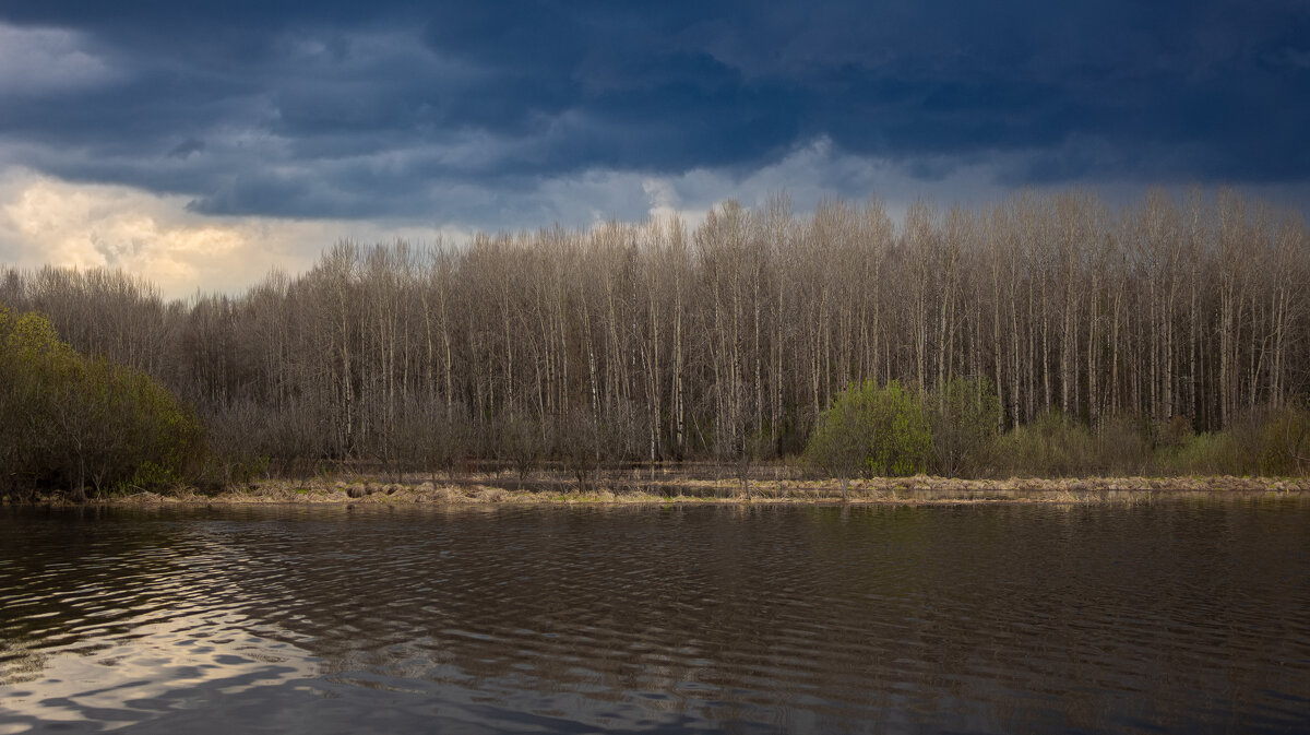 Aspen forest on the bank of the deep Bolshoy Puchkas River on a cloudy spring day | 1 - Sergey Sonvar Aspen forest on the bank of the deep Bolshoy Puchkas River on a cloudy spring day | 1 - Sergey Sonvar