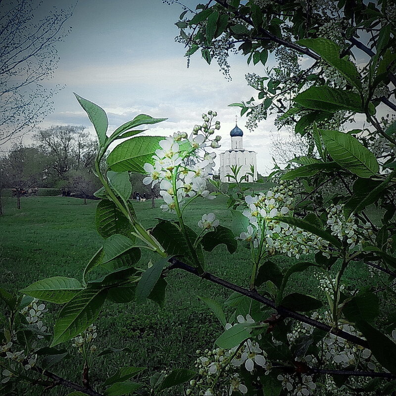 На пути к Покрова... - Владимир Шошин