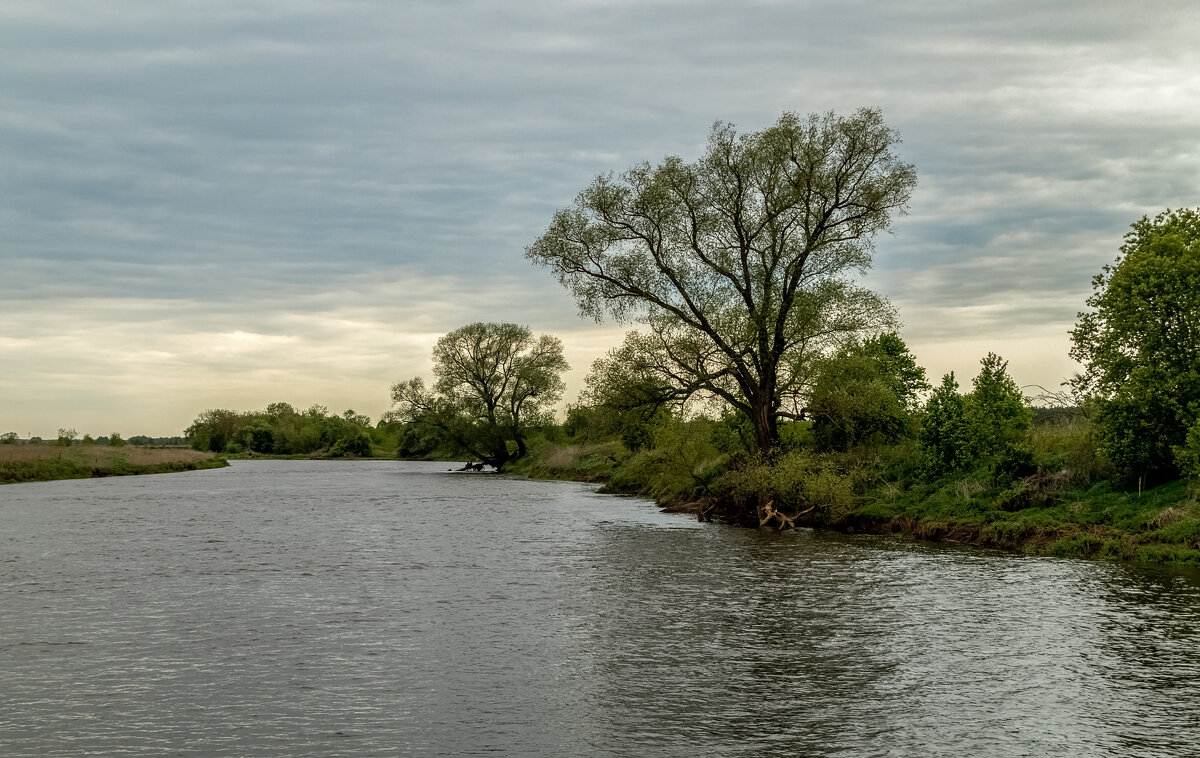 Утро на Клязьме 2 - Андрей Дворников