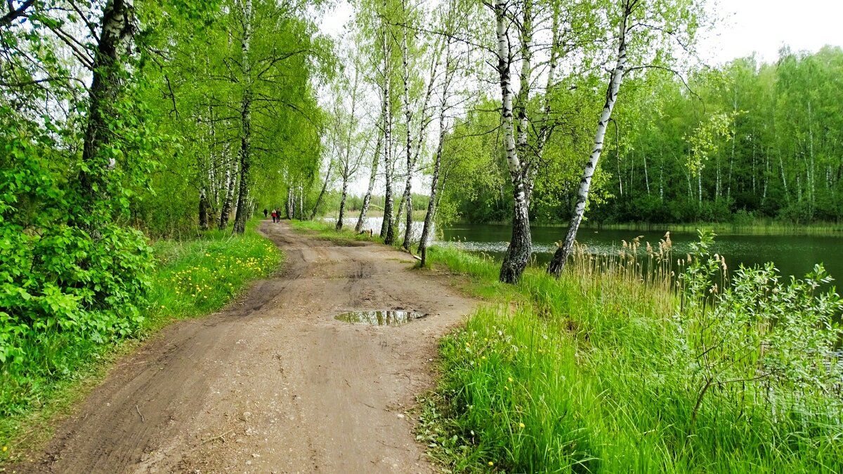 Весенний деревенский пейзаж - Милешкин Владимир Алексеевич Весенний деревенский пейзаж - Милешкин Владимир Алексеевич