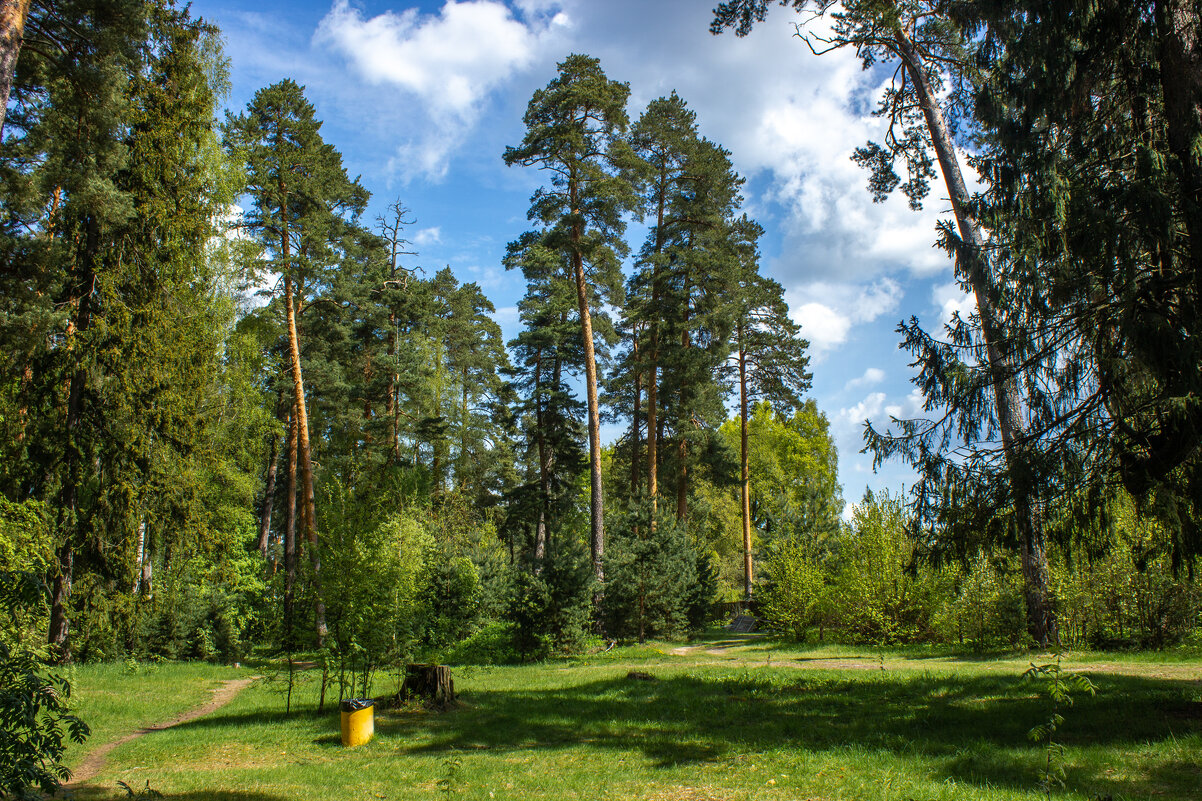 Вдоль околицы. - Михаил "Skipper" Вдоль околицы. - Михаил "Skipper"