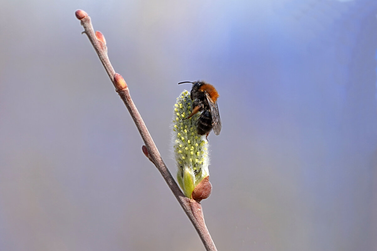 Упоение - Галина Кан Упоение - Галина Кан