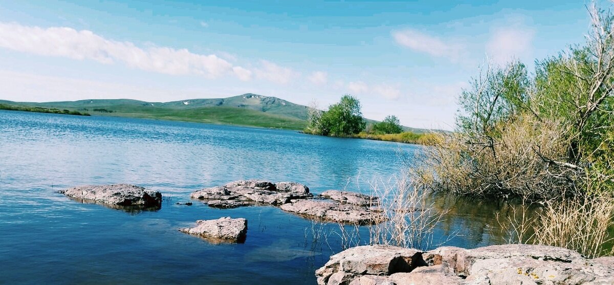 Синева - Георгиевич 