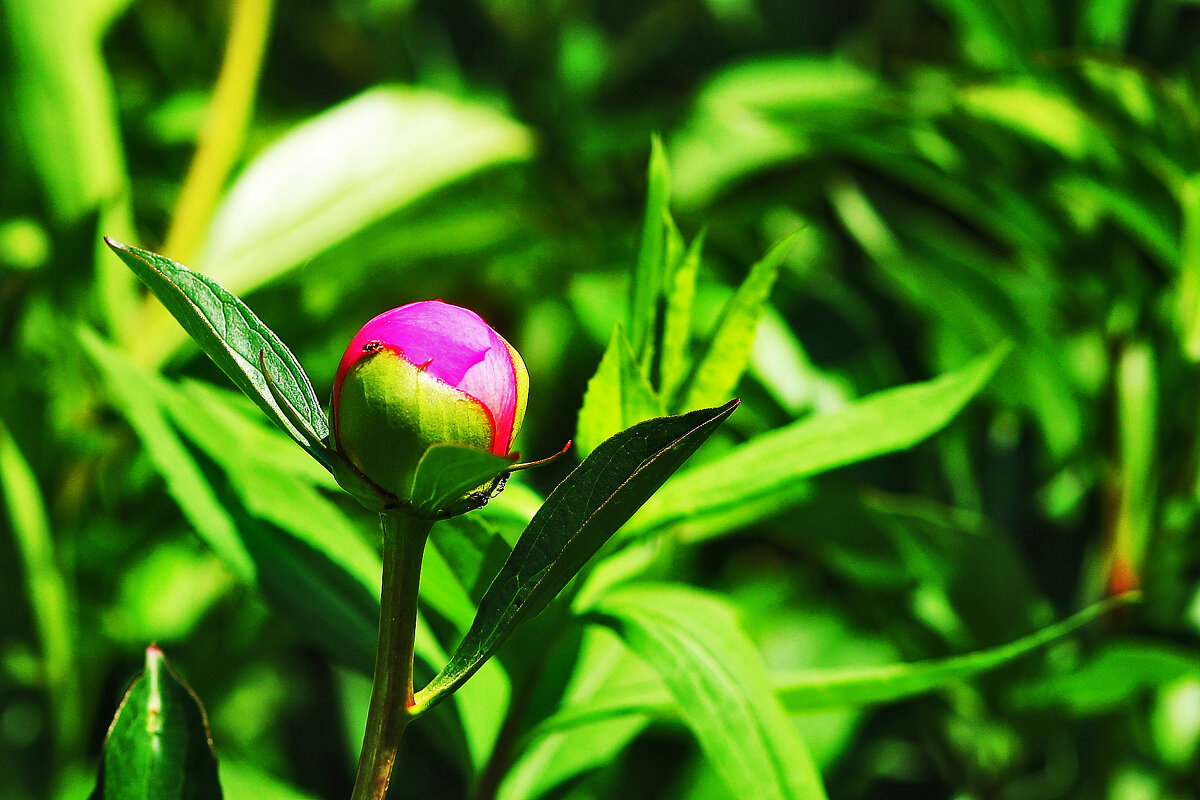 С  днём рождения, жена! - Юрий Гайворонскiий