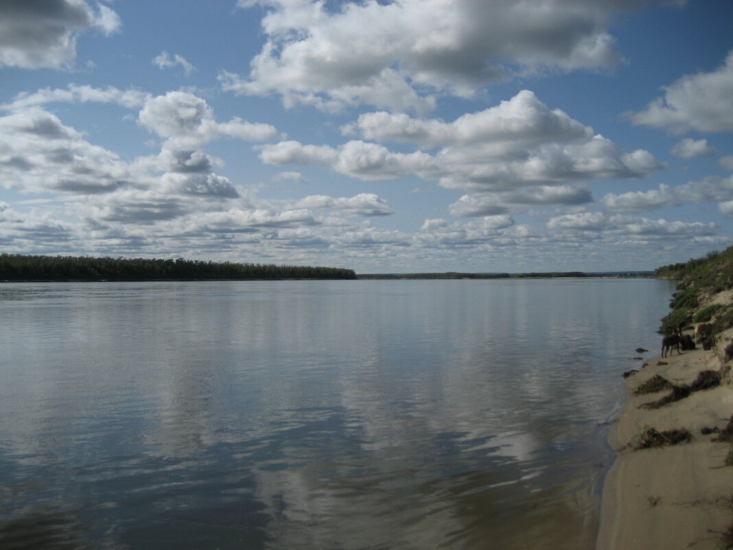 Протока - Anna Ivanova