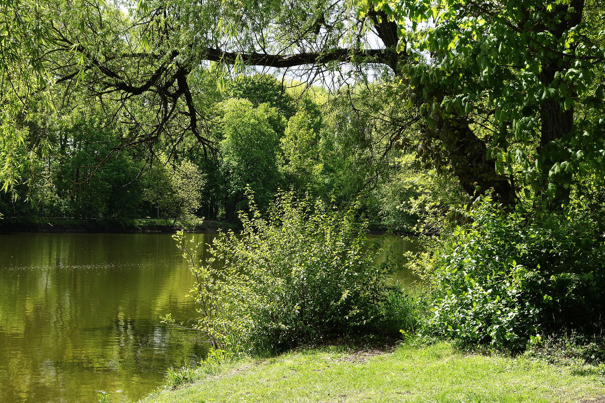 Майская зарисовка - Рита Симонова Майская зарисовка - Рита Симонова