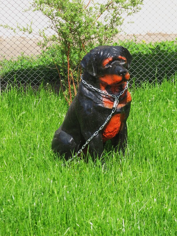 зарисовка - Елена Шаламова