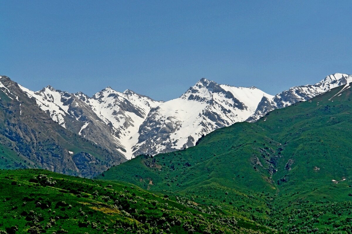 ПО ВЕРХАМ. - Виктор Осипчук