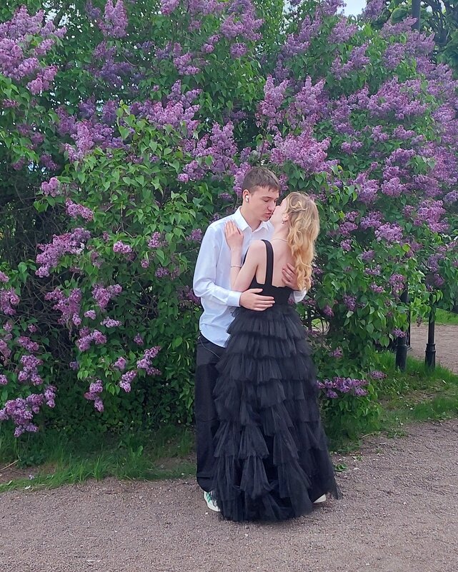 Сиреневый туман над нами проплывает - ИРЭН@ .