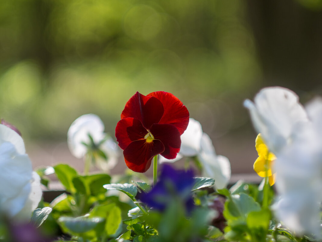 ___ - Yuriy V ___ - Yuriy V