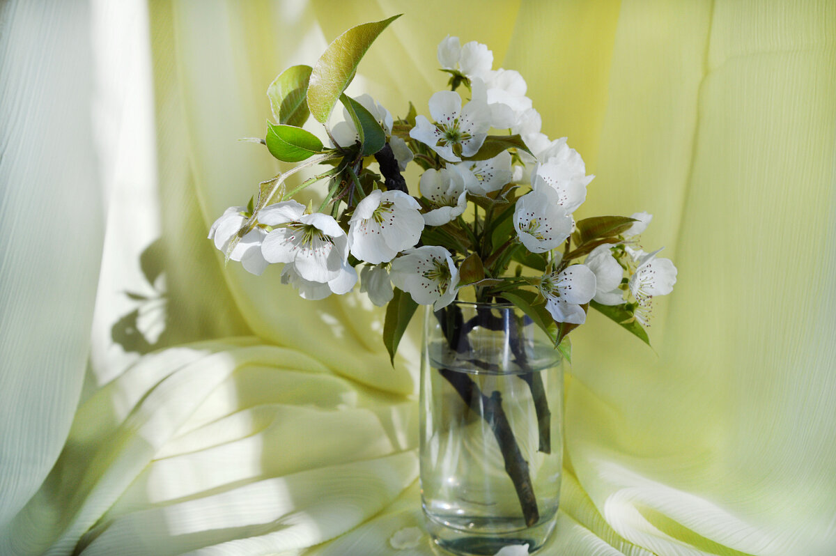 *** - Надежда Куркина 