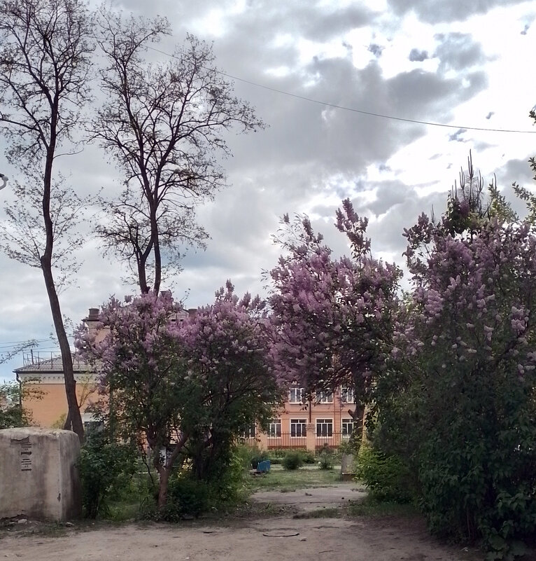 *** - Валентина Береснева