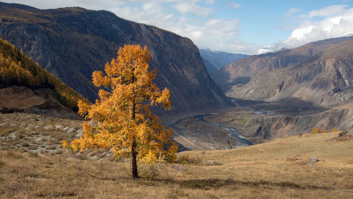 Чулышман... - владимир 