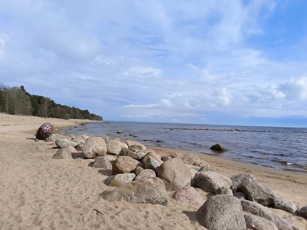 Берег Финского залива... - Мария Васильева