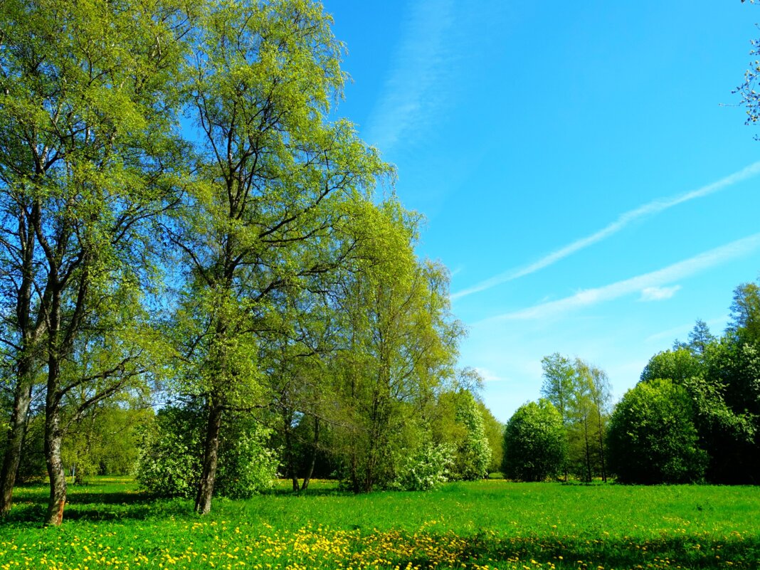 Солнечный день в парке около моря - Aida10 Солнечный день в парке около моря - Aida10
