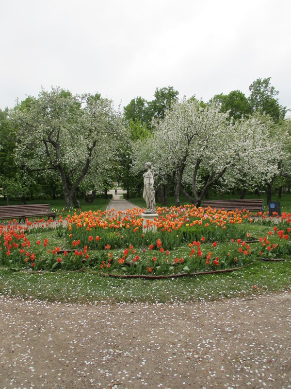 Май в Коломенском - Маера Урусова