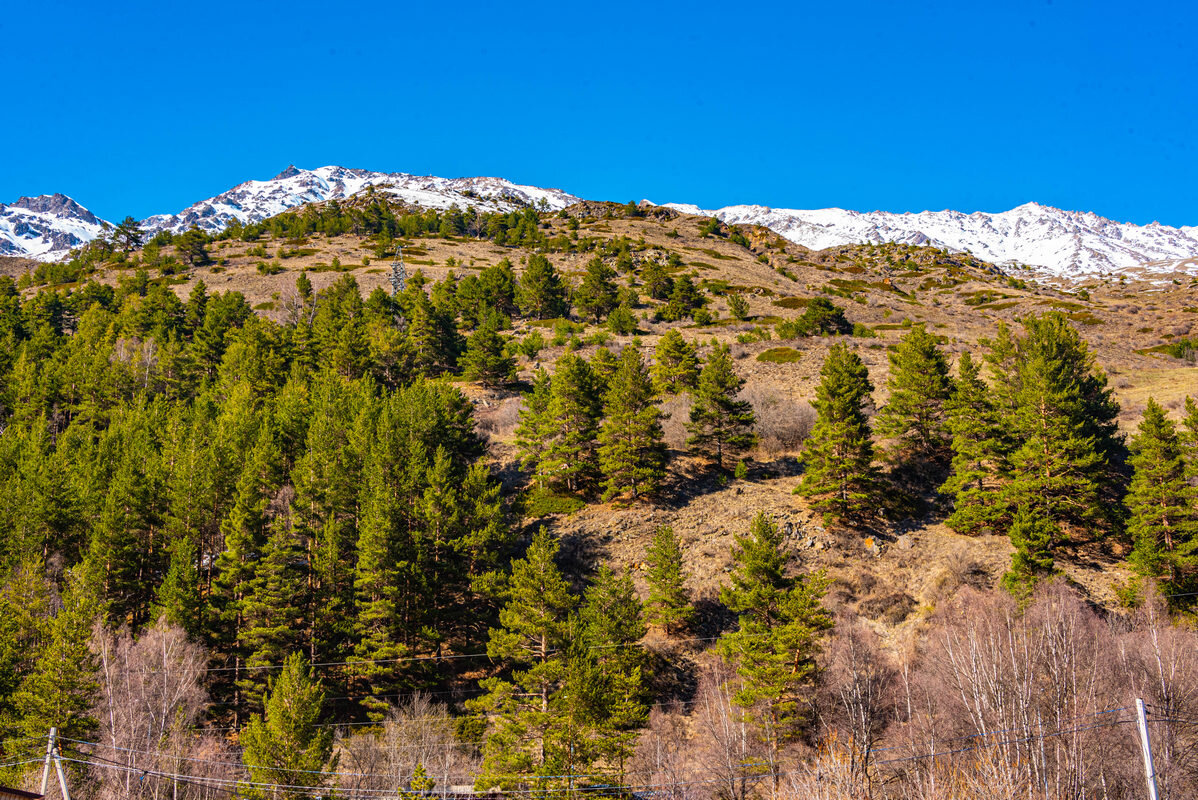 пейзаж - Дмитрий Лупандин