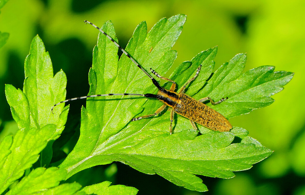 из вчерашней съемки 1 - Александр Прокудин из вчерашней съемки 1 - Александр Прокудин