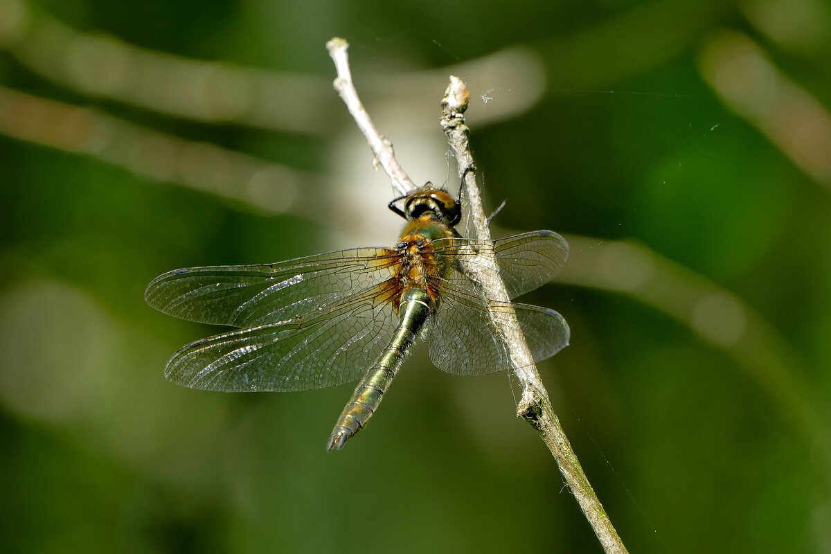 из вчерашней съемки 5 - Александр Прокудин