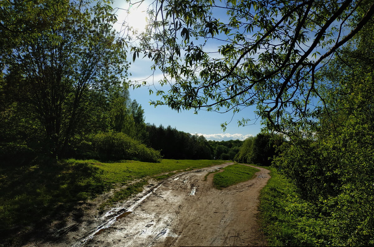 Опять весна на белом свете - Андрей Лукьянов