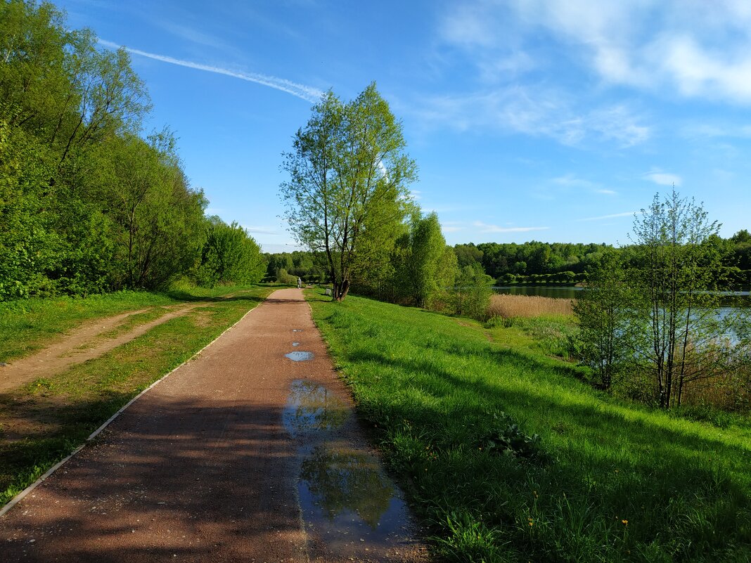Опять весна на белом свете - Андрей Лукьянов