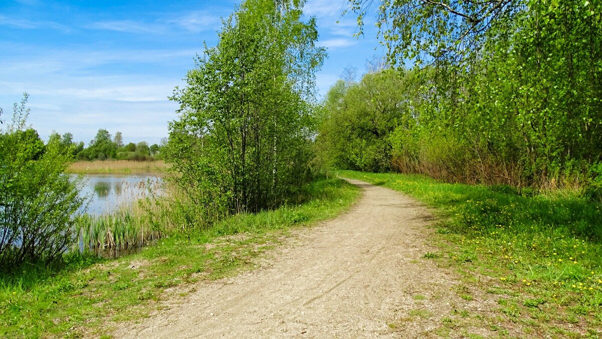 Весна в деревне. - Милешкин Владимир Алексеевич Весна в деревне. - Милешкин Владимир Алексеевич