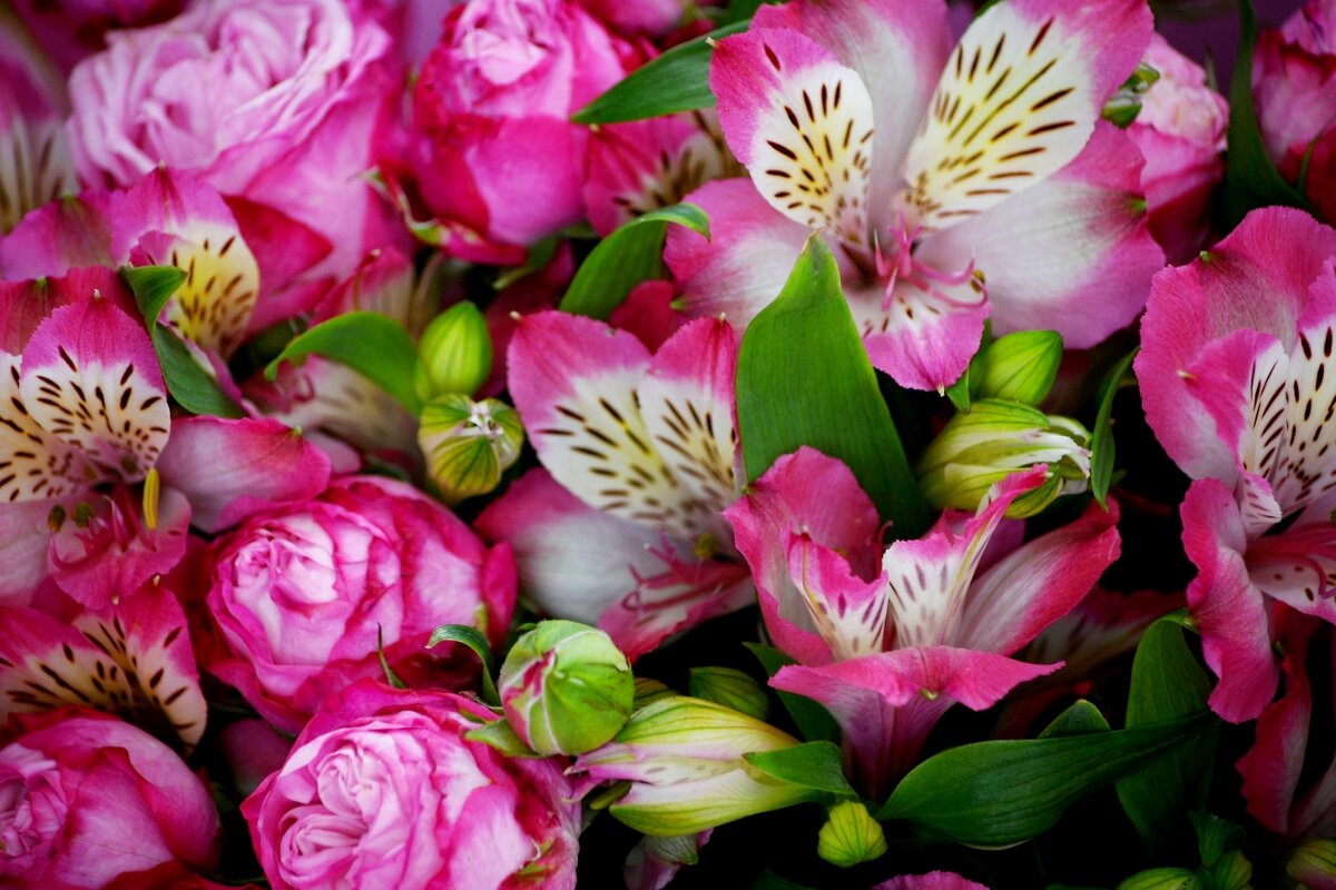 Прекрасный букет)) - Татьяна Евдокимова