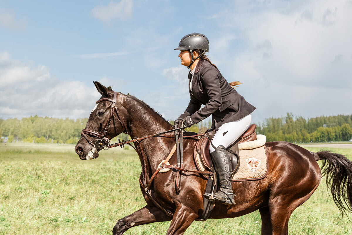 Конкур - SanSan 