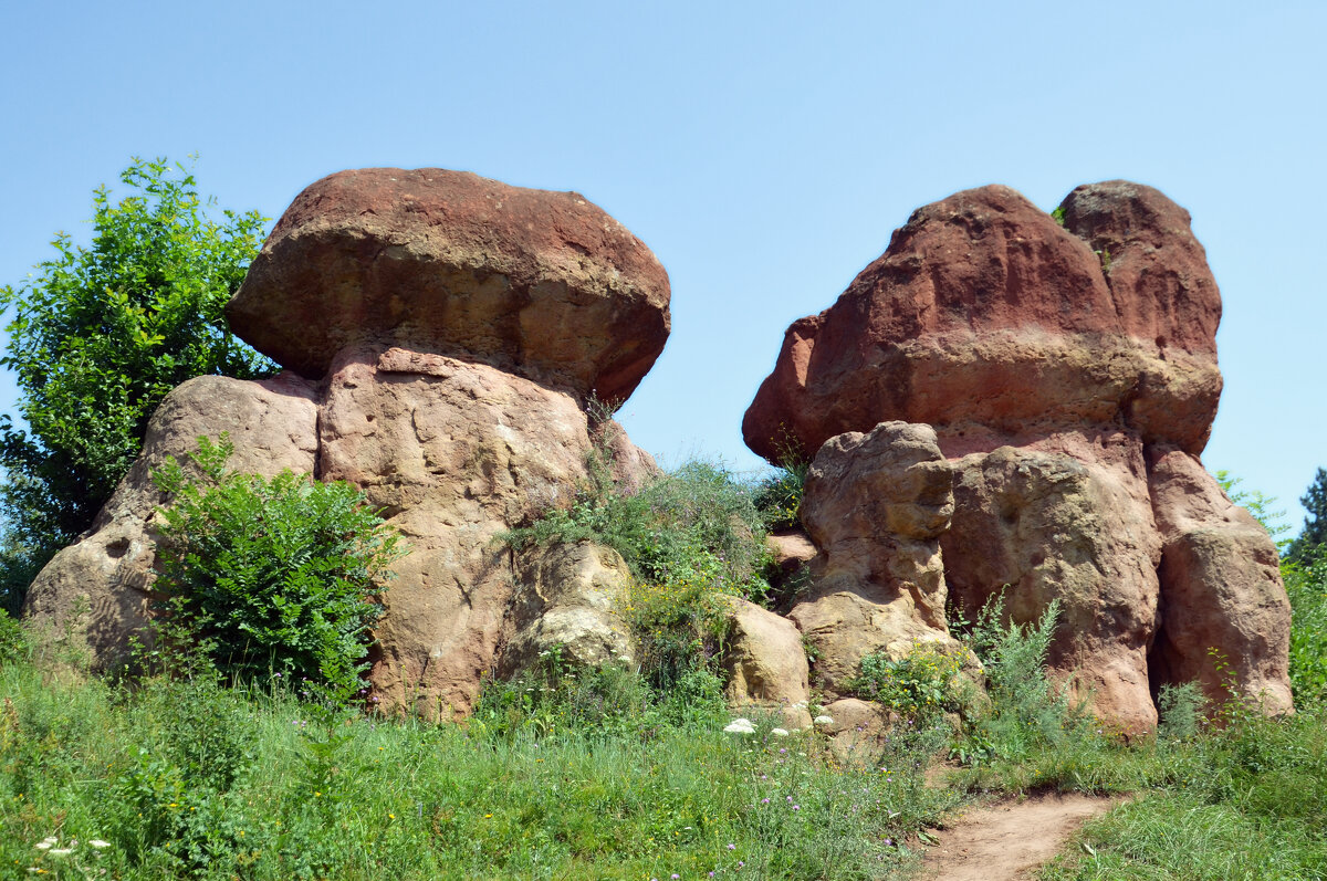 Каменные грибы - Сергей М Каменные грибы - Сергей М