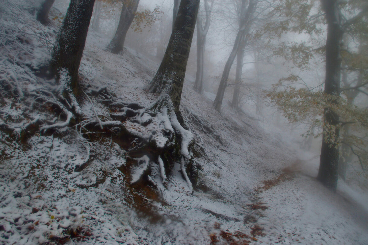 Метель...... - Юрий Цыплятников Метель...... - Юрий Цыплятников