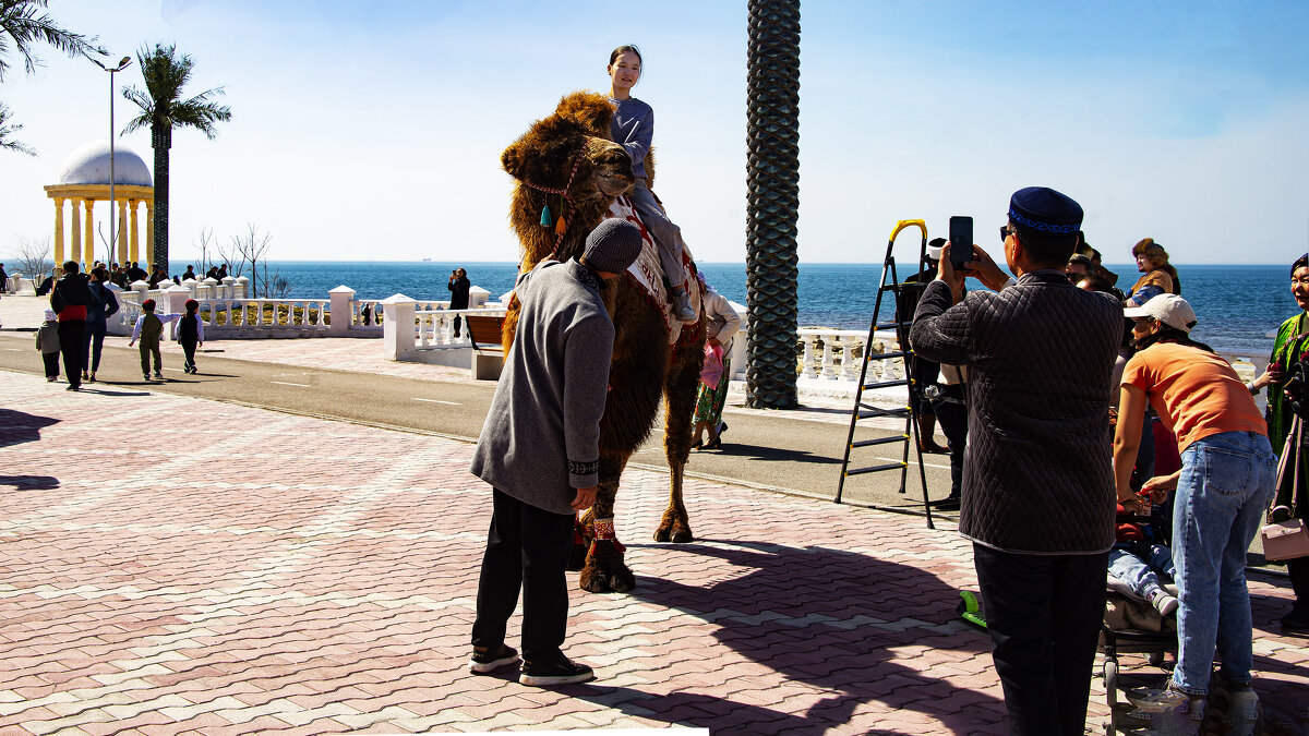 Фото у моря - Анатолий Чикчирный