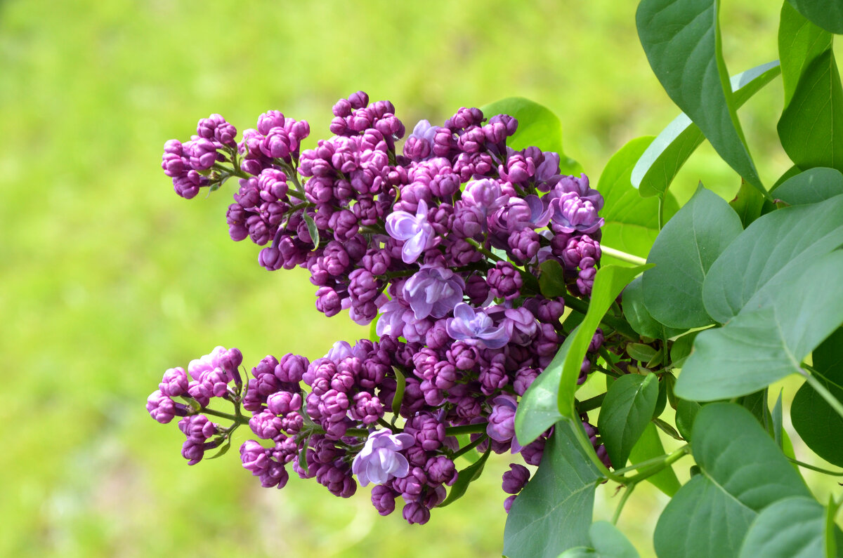 Весенняя Москва. МГУ. - Наташа ***** Весенняя Москва. МГУ. - Наташа *****