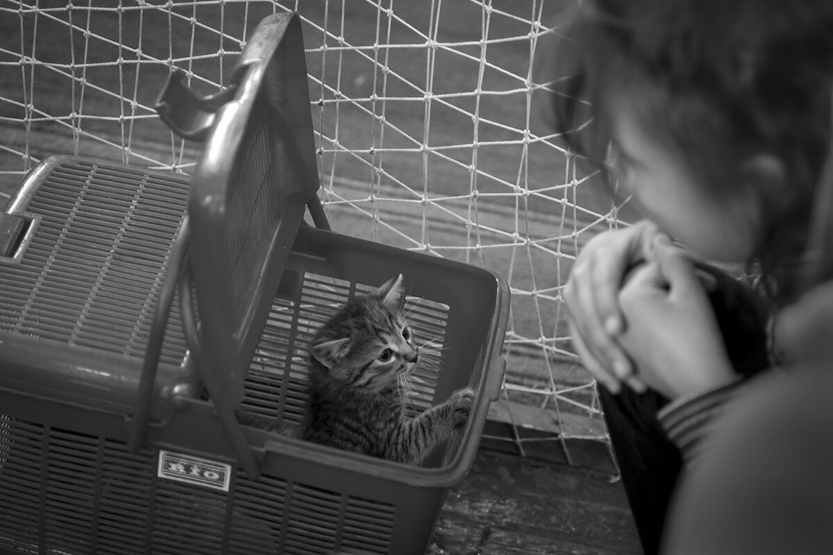 *** - Владимир Носов