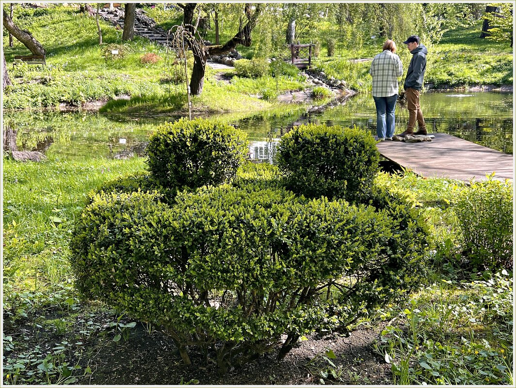 Кустик - лягушка. - Валерия Комова Кустик - лягушка. - Валерия Комова