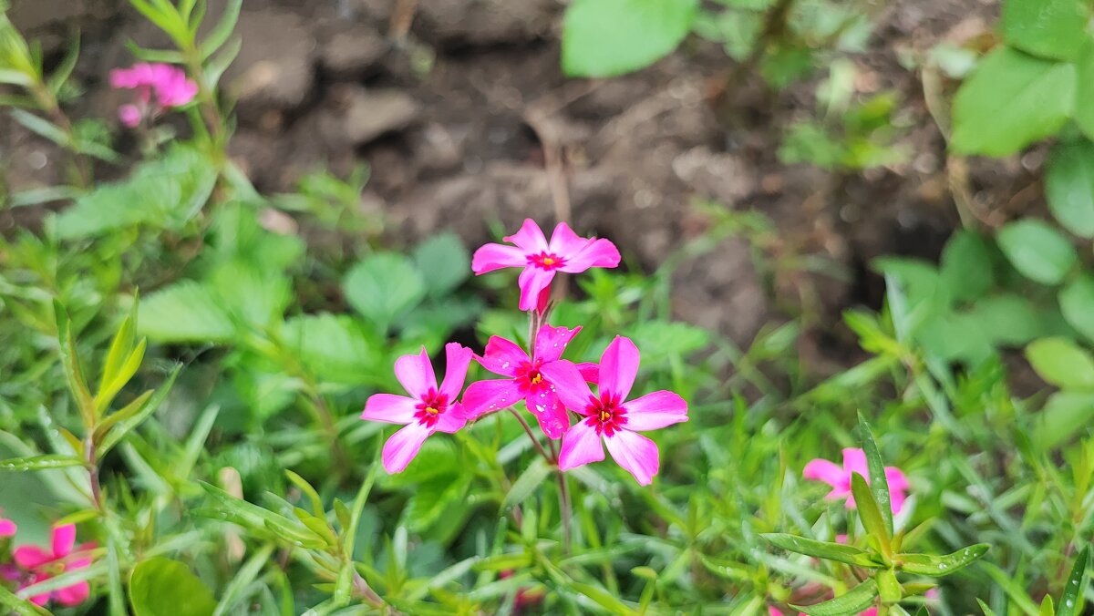 ,,, - Сергей Тимоновский ,,, - Сергей Тимоновский