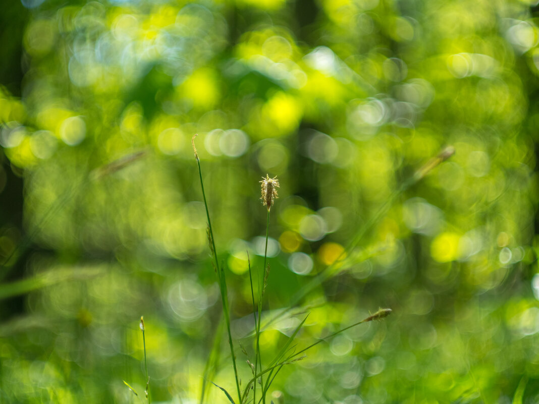 ___ - Yuriy V ___ - Yuriy V