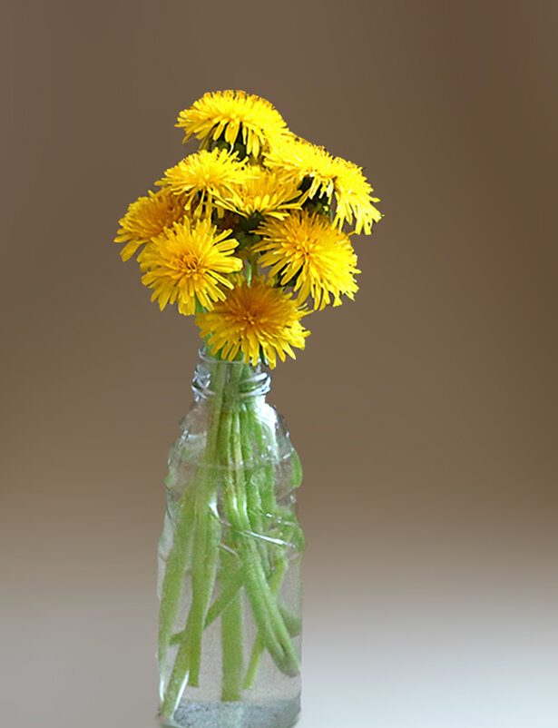 Скромный майский букетик - Светлана 