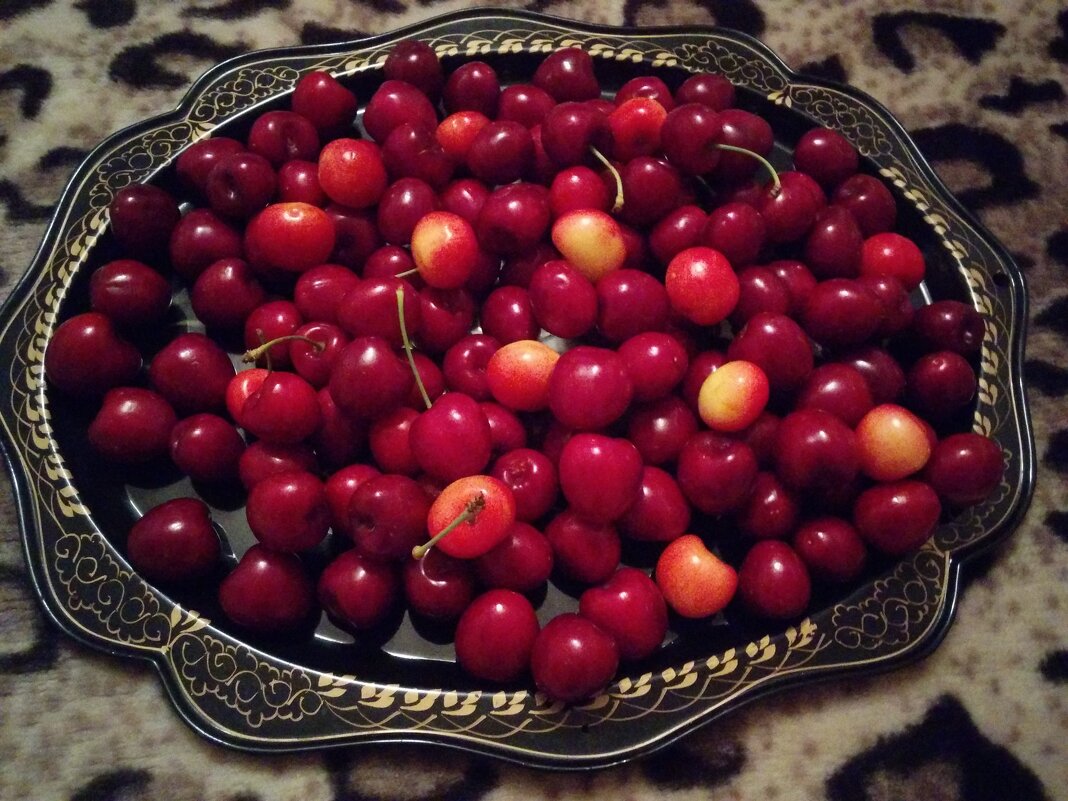 Зрелая черешня - Светлана Хращевская
