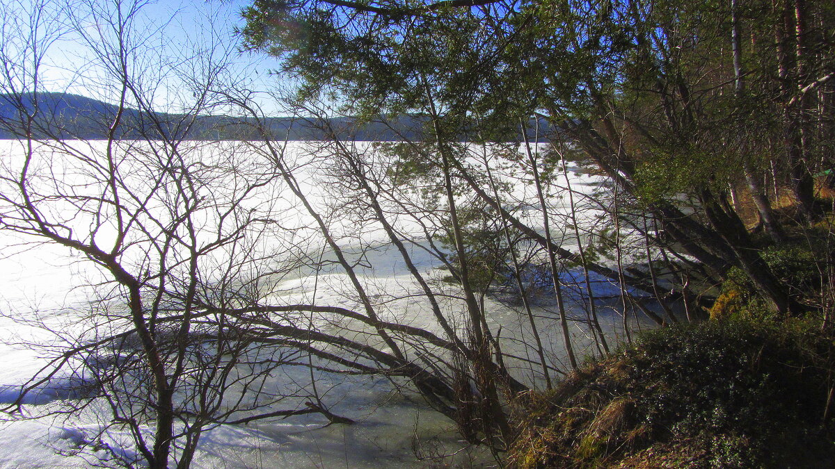 ** - Галина Полина