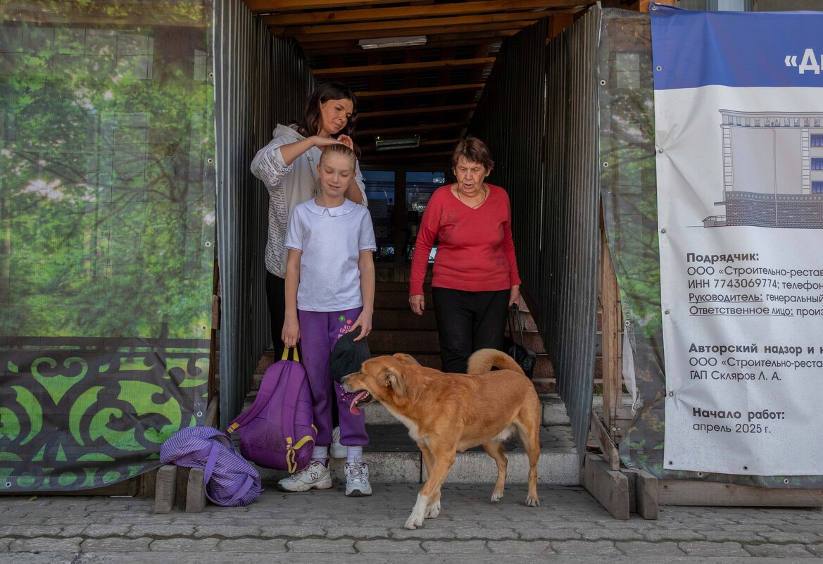 *** - Валерий Михмель 