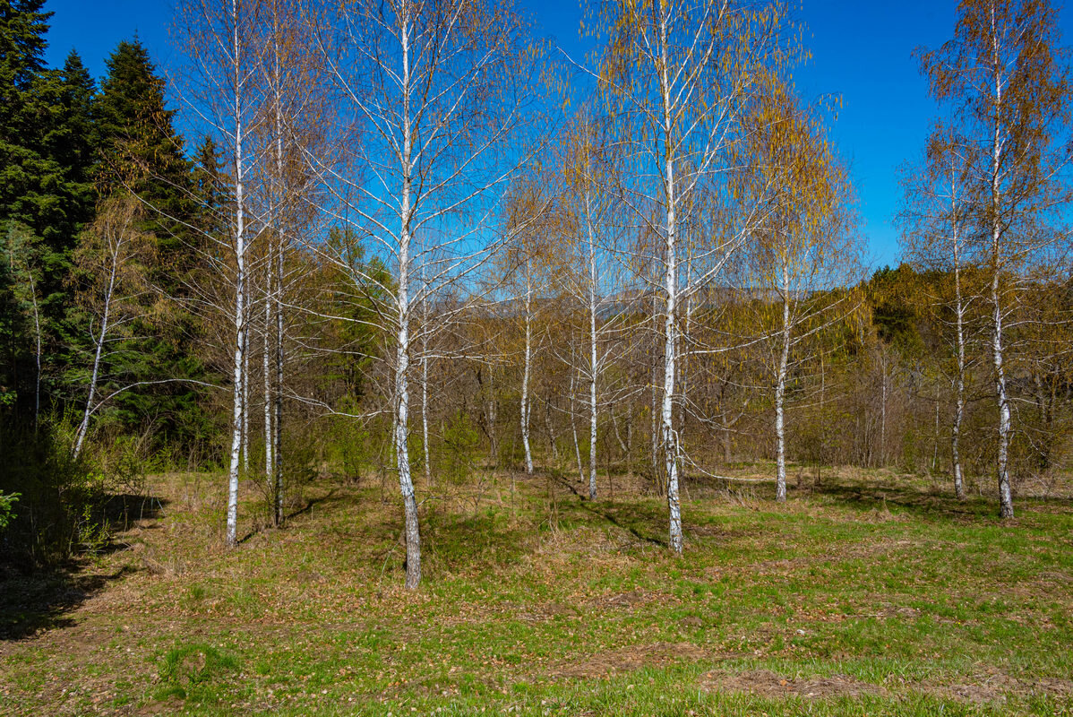 *** - Дмитрий Лупандин *** - Дмитрий Лупандин