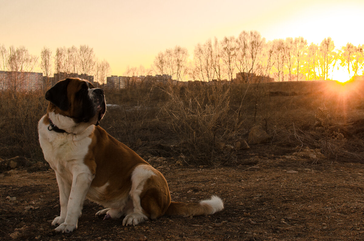 : - Prinz Eugen : - Prinz Eugen