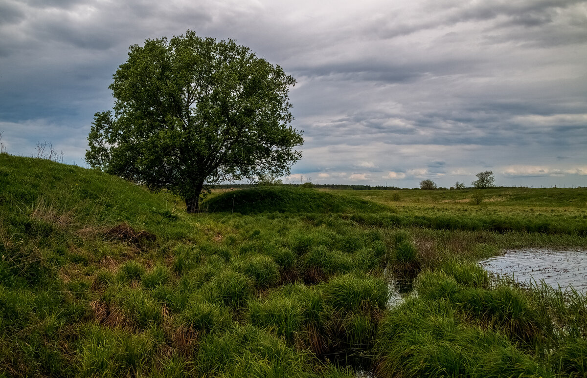 Утро на Клязьме 4 - Андрей Дворников